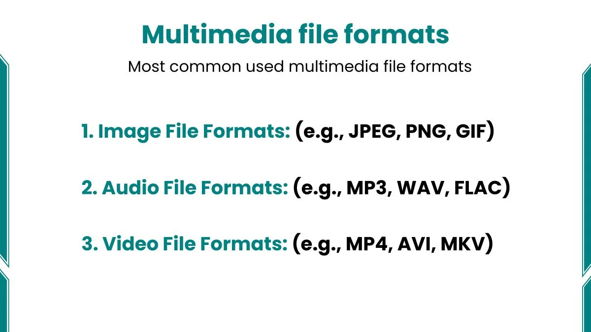 image showing multimedia file formats with types
