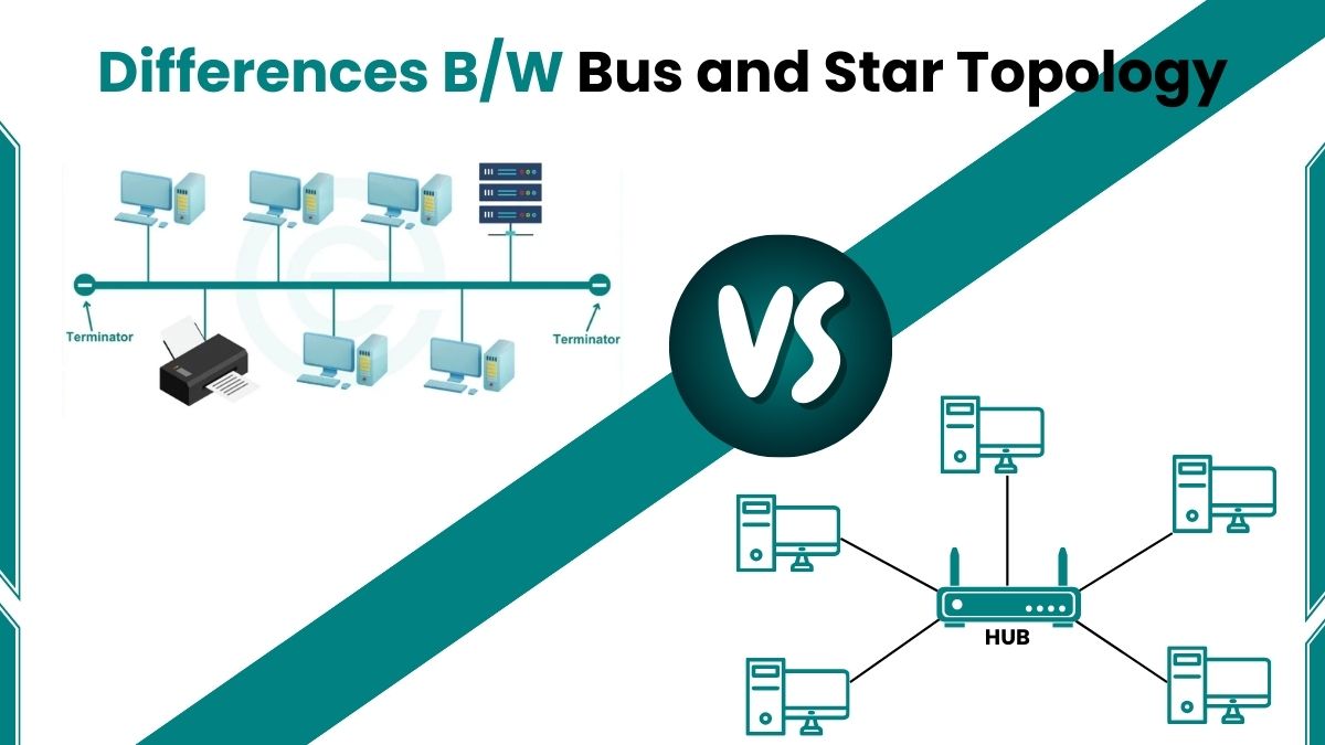 image showing Differences Between Bus and Star Topology