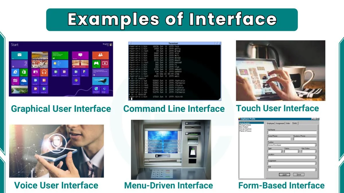 image showing examples of interface